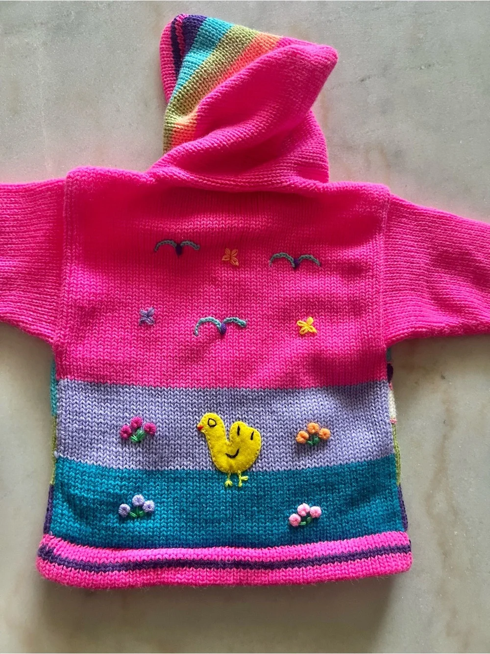 Adorable Colorful Embroidered Hoodie